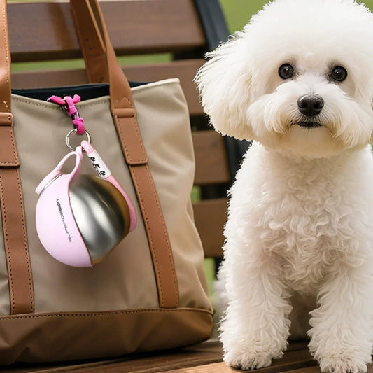 Comment choisir une bouteille d'eau portable pour chien adaptée aux promenades et voyages ?