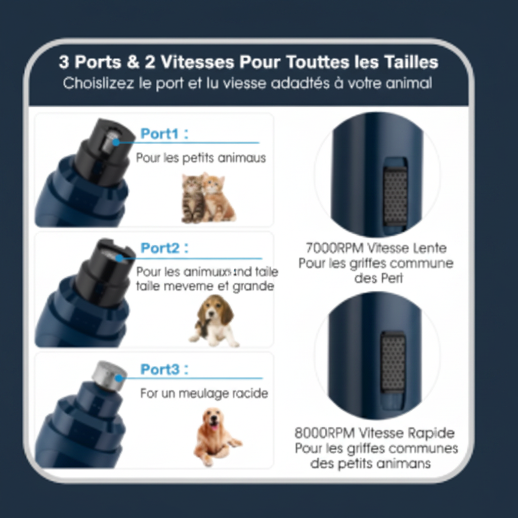 3 Ports 2 Vitesses français