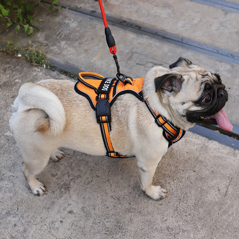Harnais pour Chien en Nylon – Gilet Réfléchissant & Sécurisé