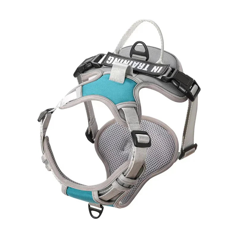 Harnais pour Chien en Nylon – Gilet Réfléchissant & Sécurisé
