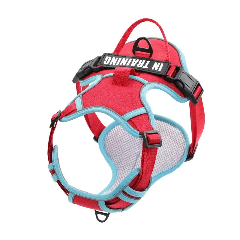 Harnais pour Chien en Nylon – Gilet Réfléchissant & Sécurisé