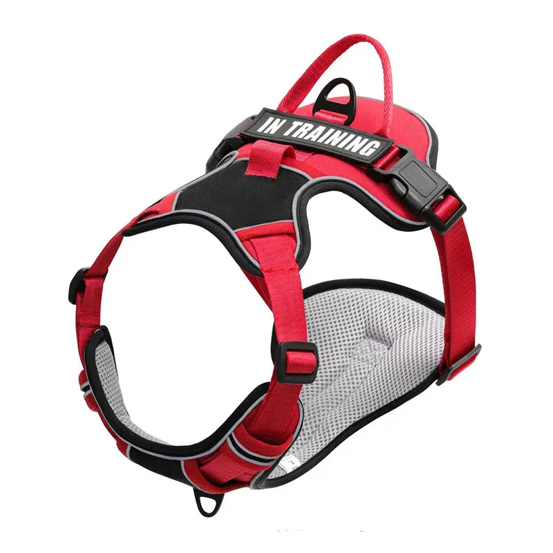 Harnais pour Chien en Nylon – Gilet Réfléchissant & Sécurisé