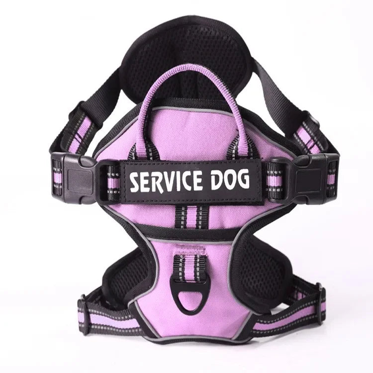 Harnais pour Chien en Nylon – Gilet Réfléchissant & Sécurisé