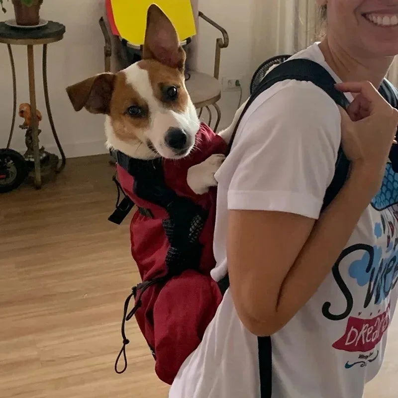 Sac à Dos Transport Chien en Nylon – Respirant & Confortable pour Petits et Moyens Chiens