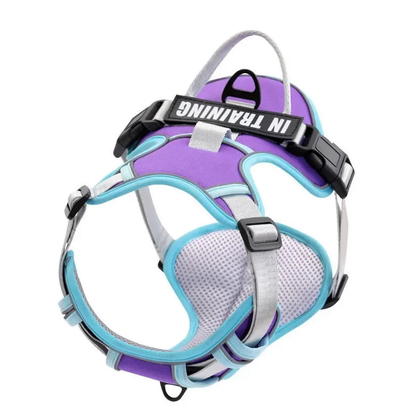 Harnais pour Chien en Nylon – Gilet Réfléchissant & Sécurisé