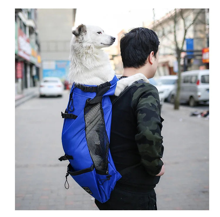 Sac à Dos Transport Chien en Nylon – Respirant & Confortable pour Petits et Moyens Chiens