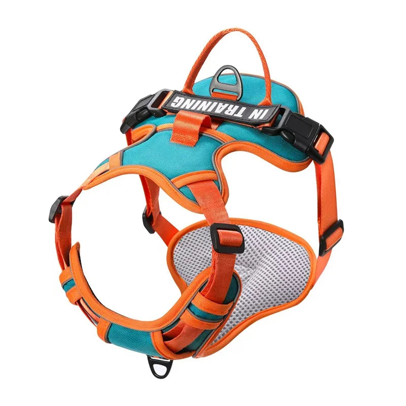 Harnais pour Chien en Nylon – Gilet Réfléchissant & Sécurisé