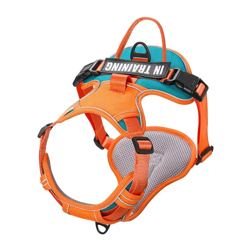 Harnais pour Chien en Nylon – Gilet Réfléchissant & Sécurisé