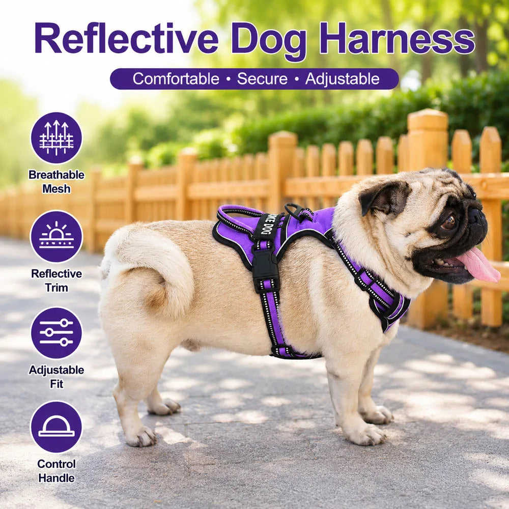 Harnais pour Chien en Nylon – Gilet Réfléchissant & Sécurisé