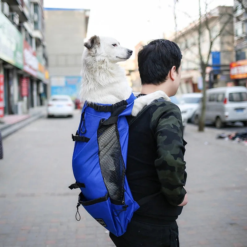 Sac à Dos Transport Chien en Nylon – Respirant & Confortable pour Petits et Moyens Chiens