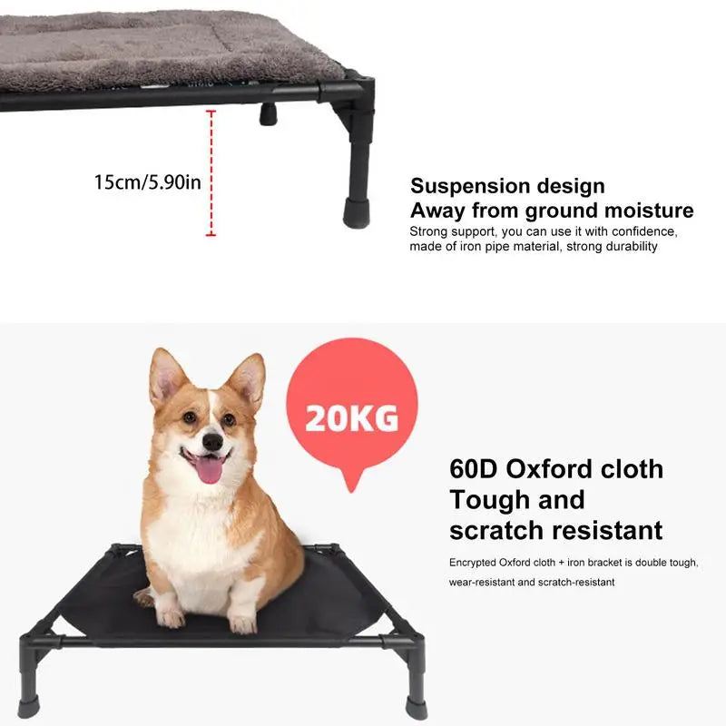Lit Surélevé Extérieur pour Chien – Confort & Fraîcheur en Toute Saison