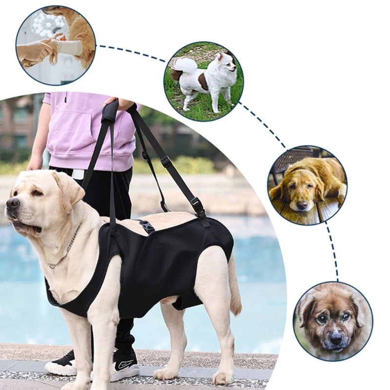 Harnais de Soutien pour Chien Senior ou Blessé – Aide à la Mobilité