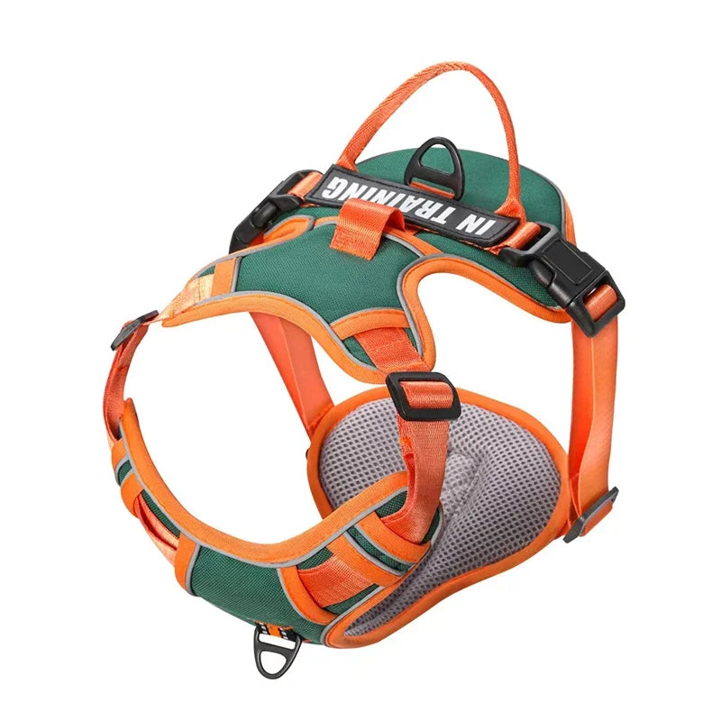 Harnais pour Chien en Nylon – Gilet Réfléchissant & Sécurisé